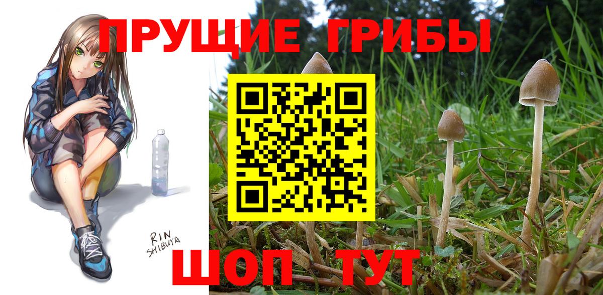Галлюциногенные грибы ЛСД  Вход с VPN  Тында 