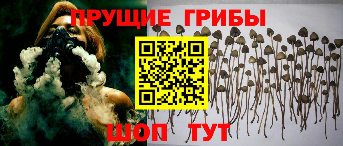 Галлюциногенные грибы Magic Shrooms Тында